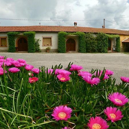 Agriturismo Monte Alzato Capalbio Luaran gambar