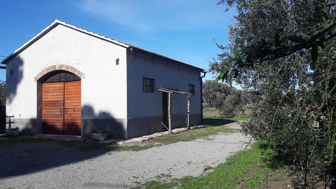 Agriturismo Monte Alzato Capalbio Luaran gambar
