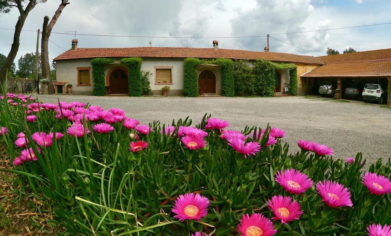 Agriturismo Monte Alzato Capalbio Luaran gambar