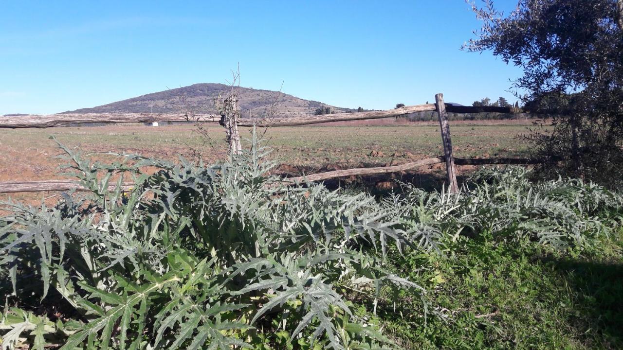 Agriturismo Monte Alzato Capalbio Luaran gambar