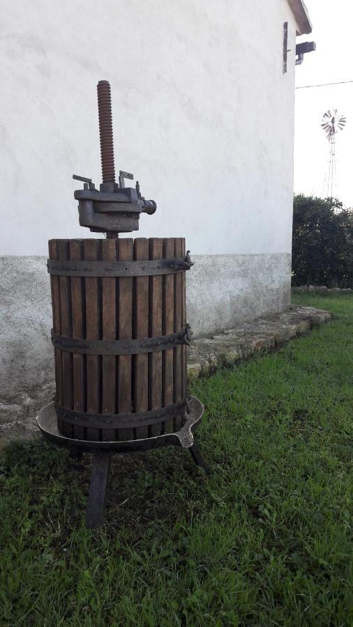 Agriturismo Monte Alzato Capalbio Luaran gambar