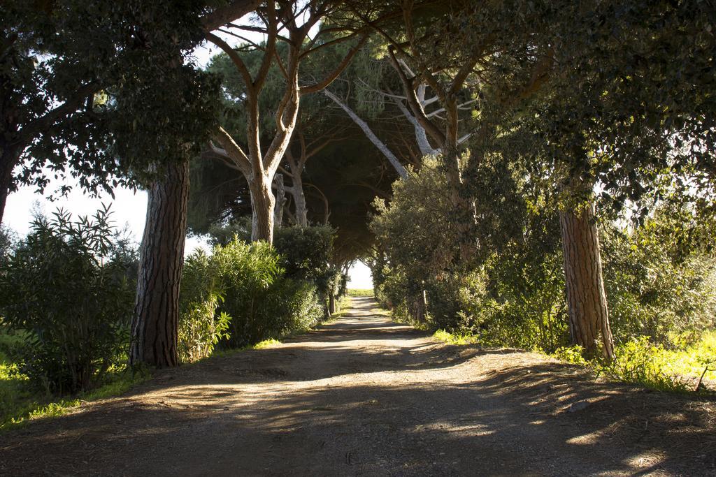 Agriturismo Monte Alzato Capalbio Luaran gambar