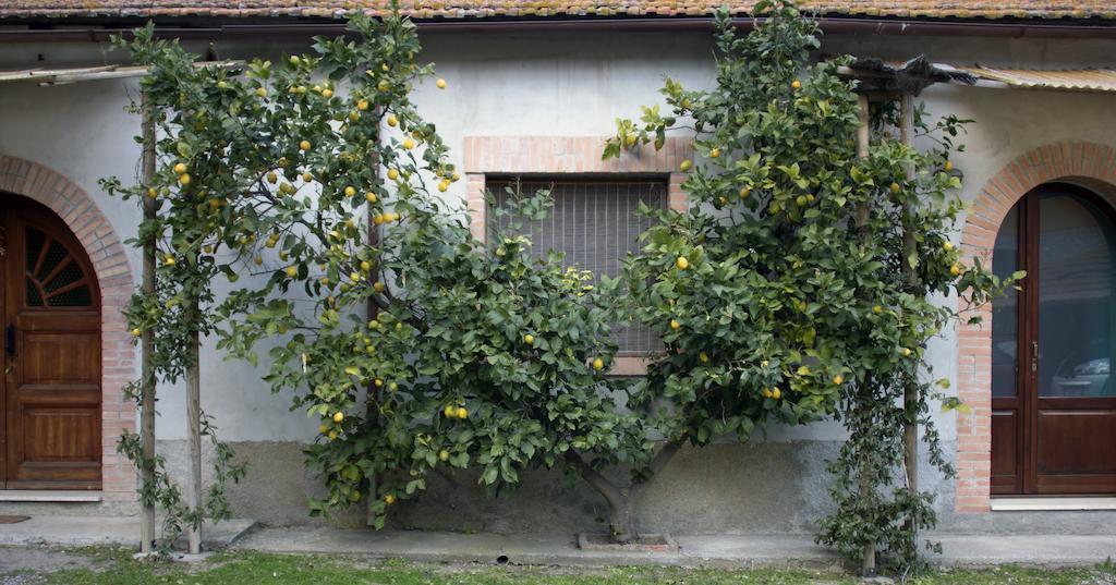 Agriturismo Monte Alzato Capalbio Bilik gambar